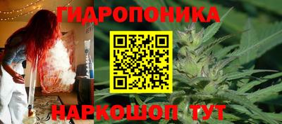 гашик Бузулук