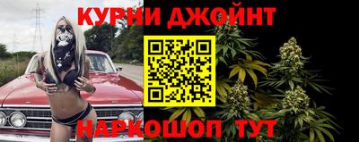 гашик Бузулук