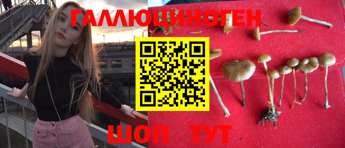 Псилоцибиновые грибы ЛСД  Вход с VPN  Карасук 