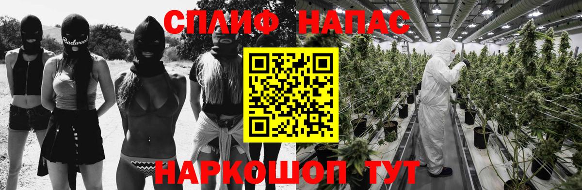 Марихуана планчик Карасук